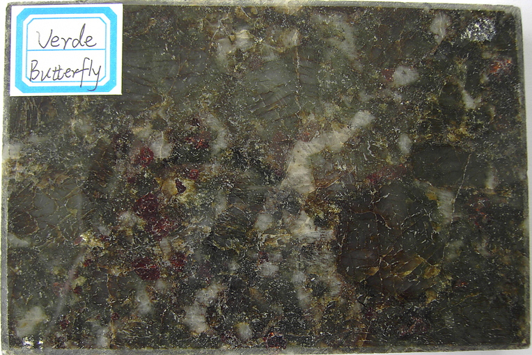 Verde Butterfly.jpg
