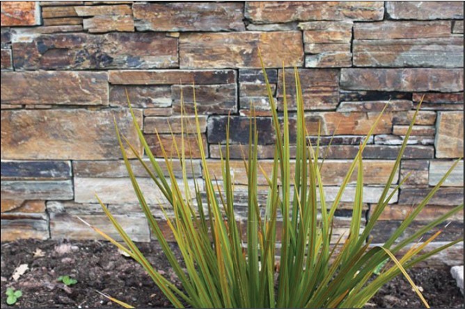 复件 rusty cement culture stone.jpg